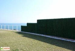 Haie Artificielle 126 Brins 3x1,8m Vert Sapin 126 Ultra