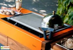 Plaque De Cuisson Induction Teppanyaki 58cm 5600 W